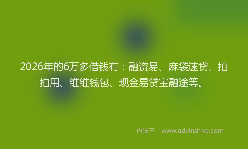 2026年的6万多借钱有：融资易、麻袋速贷、拍拍用、维维钱包、现金易贷宝融途等。