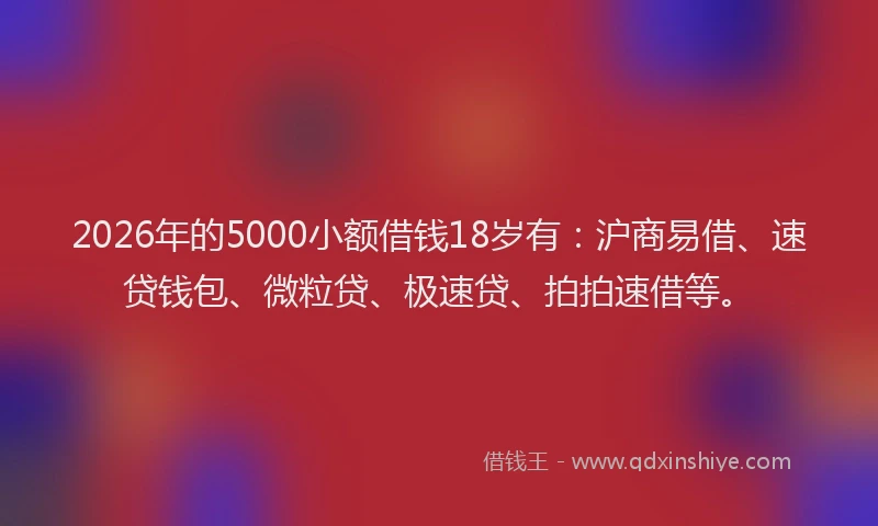 2026年的5000小额借钱18岁有:沪商易借、速贷钱包、微粒贷、极速贷、拍拍速借等。