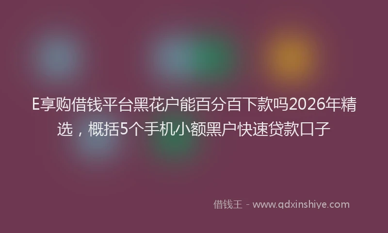 E享购借钱平台黑花户能百分百下款吗2026年精选，概括5个手机小额黑户快速贷款口子
