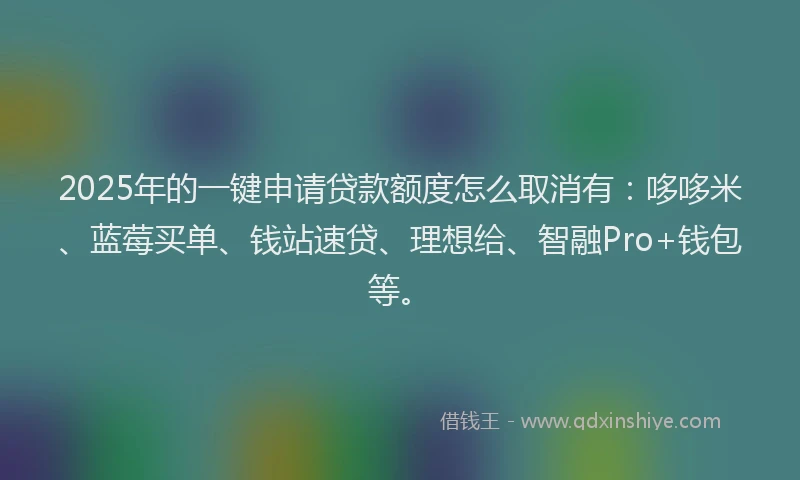 2025年的一键申请贷款额度怎么取消有：哆哆米、蓝莓买单、钱站速贷、理想给、智融Pro+钱包等。