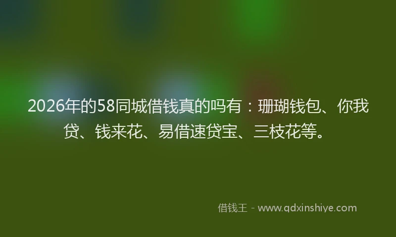 2026年的58同城借钱真的吗有：珊瑚钱包、你我贷、钱来花、易借速贷宝、三枝花等。