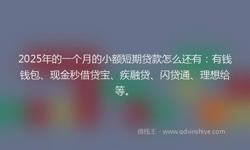 2025年的一个月的小额短期贷款怎么还有：有钱钱包、现金秒借贷宝、疾融贷、闪贷通、理想给等。