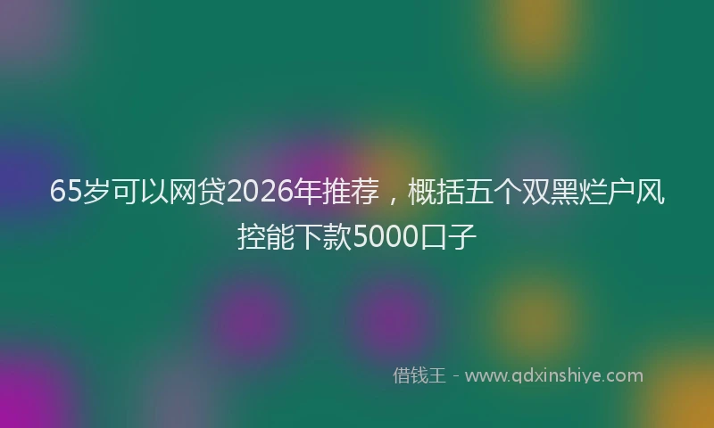 65岁可以网贷2026年推荐，概括五个双黑烂户风控能下款5000口子