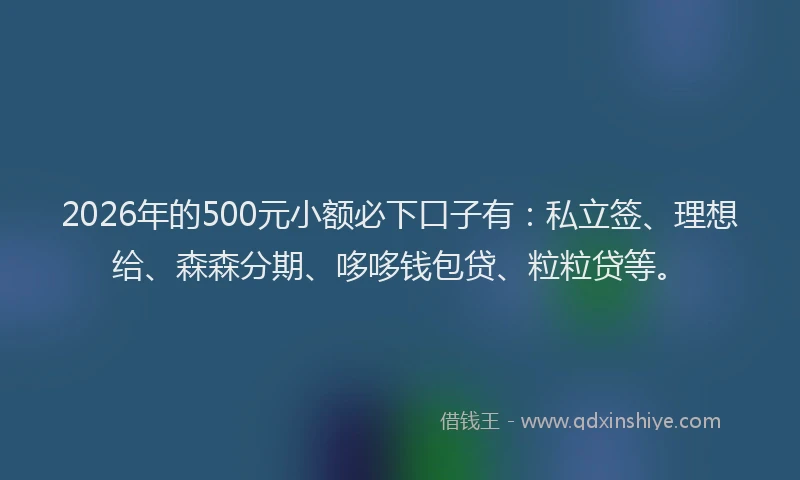 2026年的500元小额必下口子有:私立签、理想给、森森分期、哆哆钱包贷、粒粒贷等。
