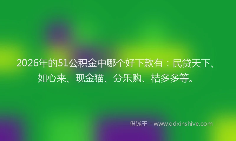 2026年的51公积金中哪个好下款有：民贷天下、如心来、现金猫、分乐购、桔多多等。