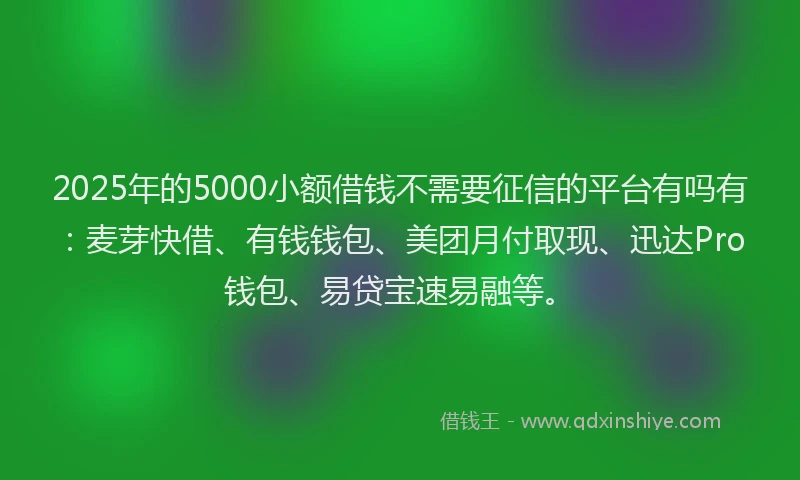 2025年的5000小额借钱不需要征信的平台有吗有:麦芽快借、有钱钱包、美团月付取现、迅达Pro钱包、易贷宝速易融等。