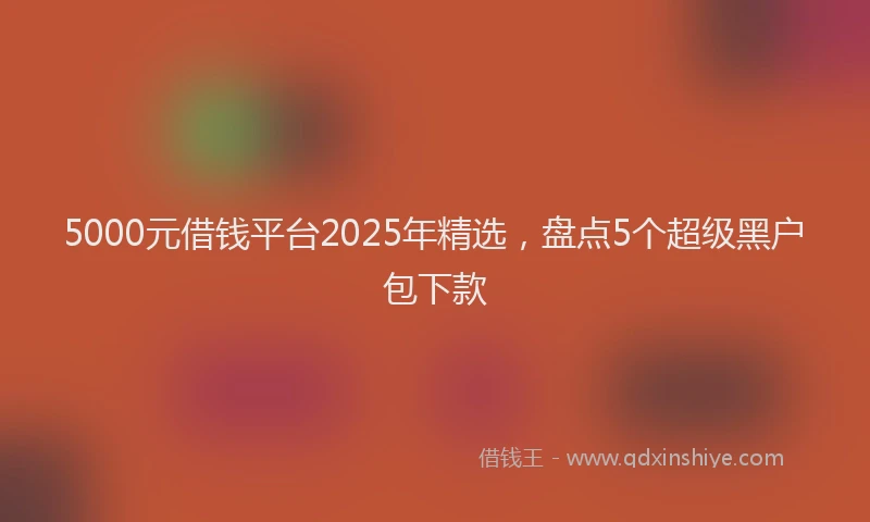 5000元借钱平台2025年精选,盘点5个超级黑户包下款