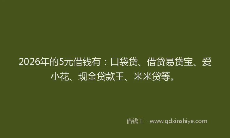 2026年的5元借钱有：口袋贷、借贷易贷宝、爱小花、现金贷款王、米米贷等。