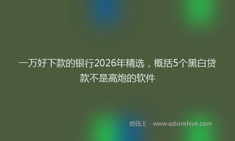 一万好下款的银行2026年精选，概括5个黑白贷款不是高炮的软件