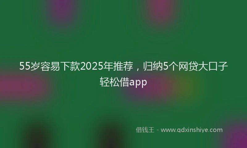 55岁容易下款2025年推荐,归纳5个网贷大口子轻松借app