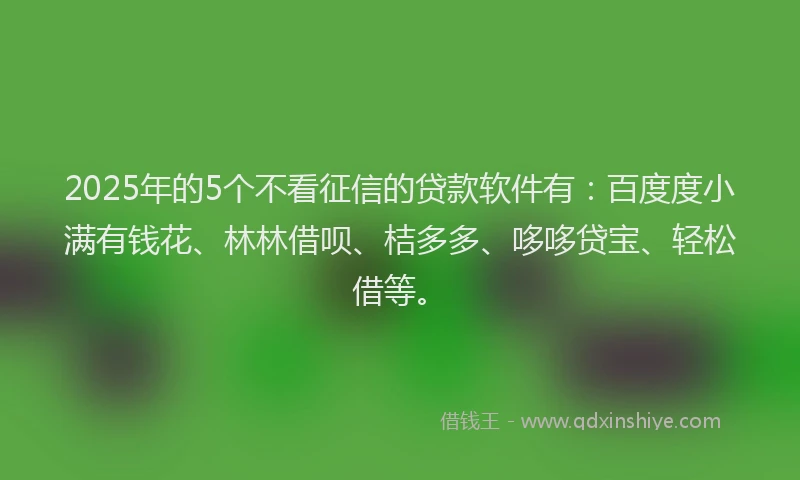 2025年的5个不看征信的贷款软件有：百度度小满有钱花、林林借呗、桔多多、哆哆贷宝、轻松借等。