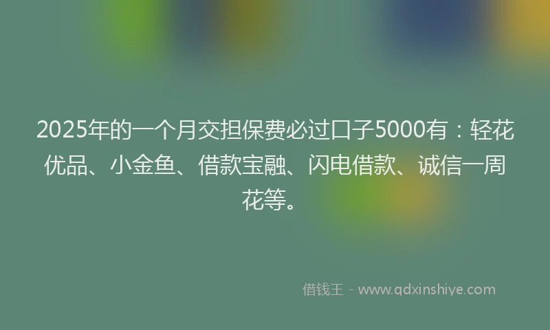 2025年的一个月交担保费必过口子5000有：轻花优品、小金鱼、借款宝融、闪电借款、诚信一周花等。