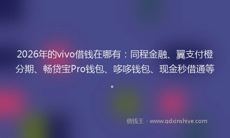 2026年的vivo借钱在哪有：同程金融、翼支付橙分期、畅贷宝Pro钱包、哆哆钱包、现金秒借通等。