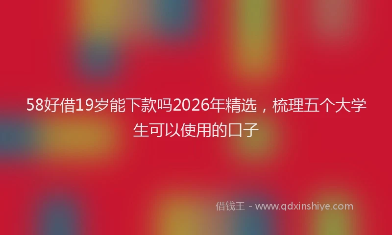 58好借19岁能下款吗2026年精选，梳理五个大学生可以使用的口子