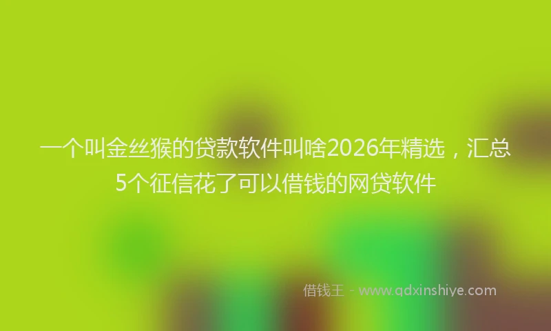 一个叫金丝猴的贷款软件叫啥2026年精选，汇总5个征信花了可以借钱的网贷软件