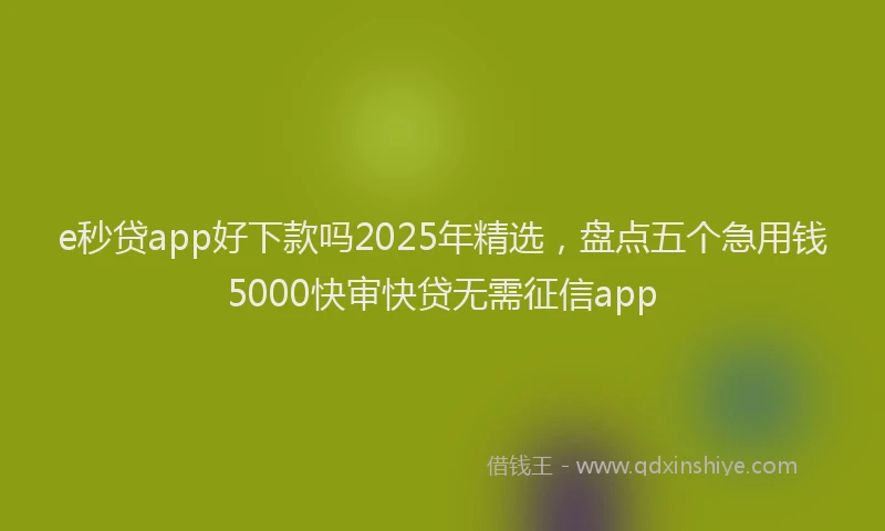 e秒贷app好下款吗2025年精选，盘点五个急用钱5000快审快贷无需征信app