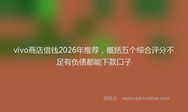vivo商店借钱2026年推荐，概括五个综合评分不足有负债都能下款口子