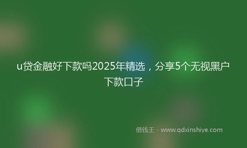 u贷金融好下款吗2025年精选，分享5个无视黑户下款口子