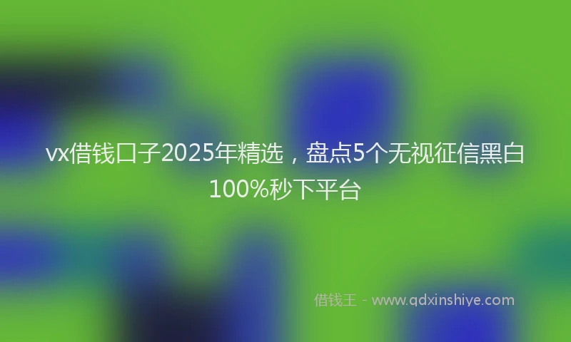 vx借钱口子2025年精选，盘点5个无视征信黑白100%秒下平台