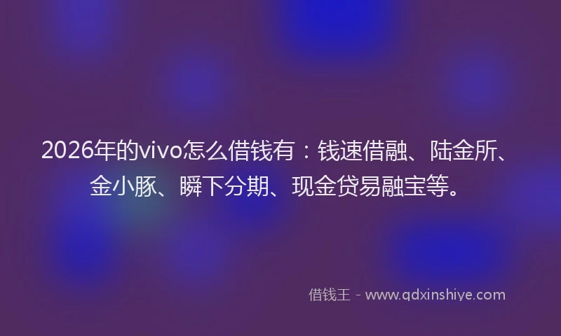 2026年的vivo怎么借钱有：钱速借融、陆金所、金小豚、瞬下分期、现金贷易融宝等。
