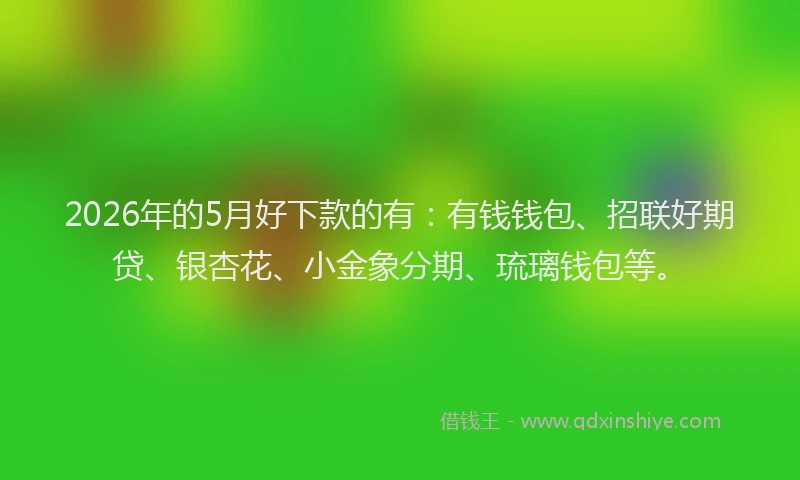 2026年的5月好下款的有:有钱钱包、招联好期贷、银杏花、小金象分期、琉璃钱包等。