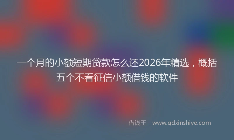 一个月的小额短期贷款怎么还2026年精选，概括五个不看征信小额借钱的软件