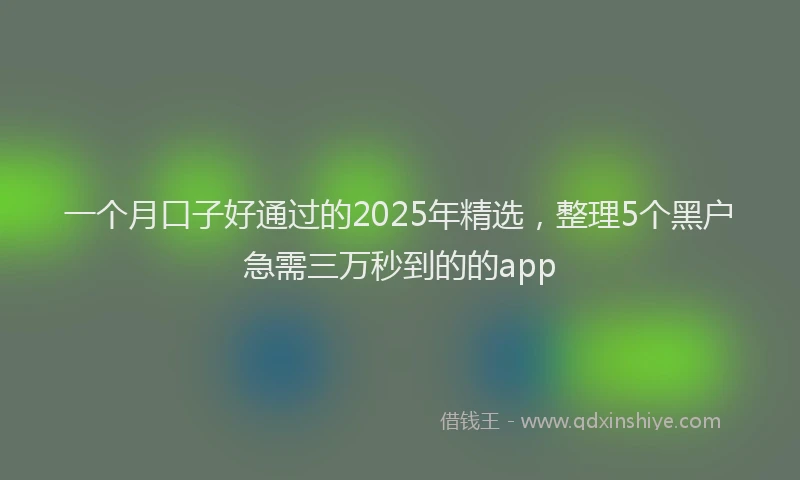 一个月口子好通过的2025年精选，整理5个黑户急需三万秒到的的app