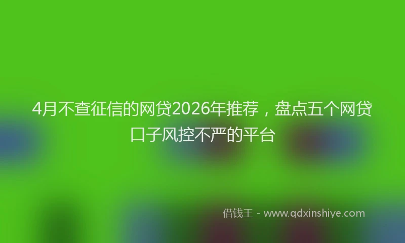 4月不查征信的网贷2026年推荐，盘点五个网贷口子风控不严的平台