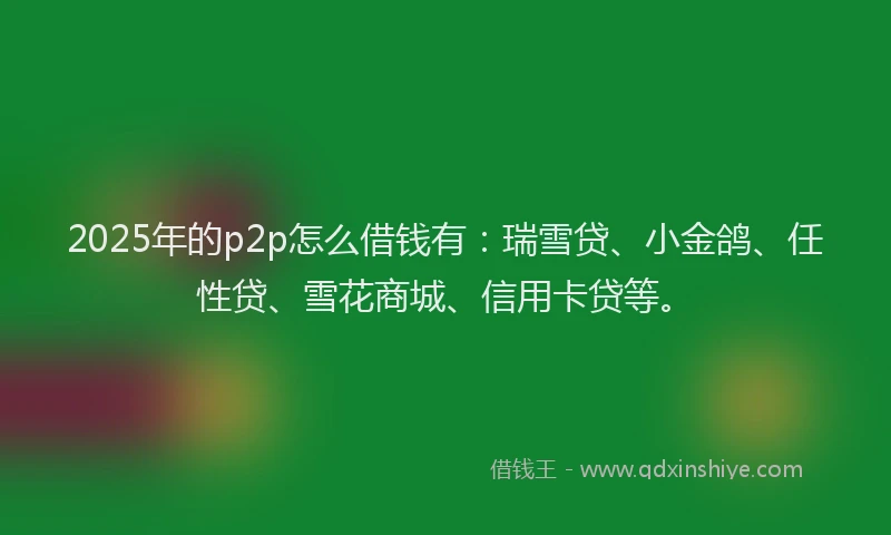 2025年的p2p怎么借钱有：瑞雪贷、小金鸽、任性贷、雪花商城、信用卡贷等。