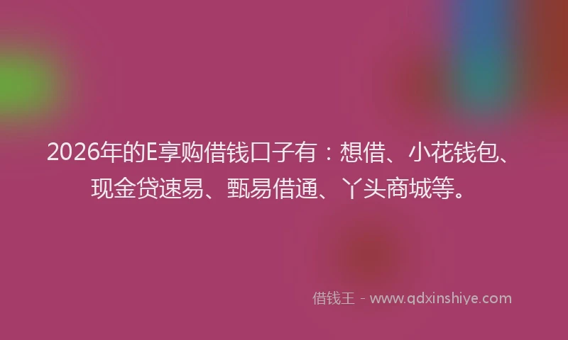 2026年的E享购借钱口子有：想借、小花钱包、现金贷速易、甄易借通、丫头商城等。