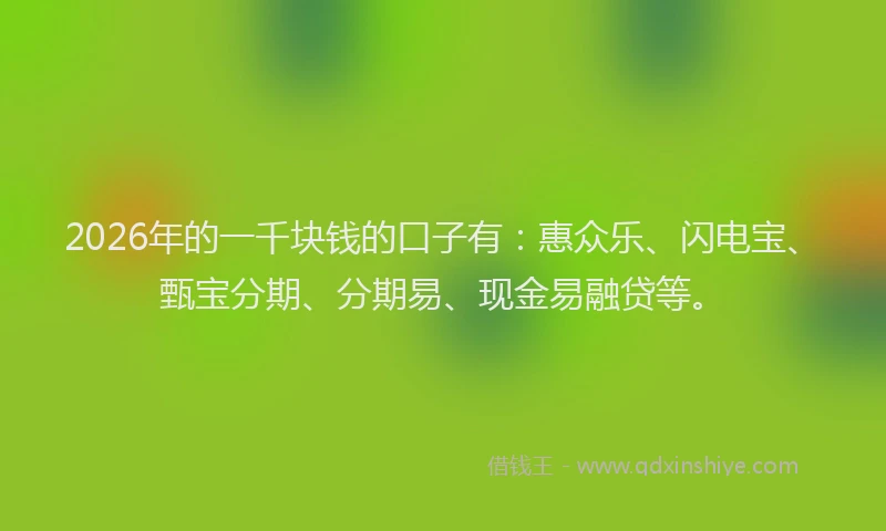 2026年的一千块钱的口子有：惠众乐、闪电宝、甄宝分期、分期易、现金易融贷等。
