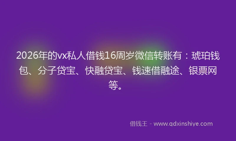 2026年的vx私人借钱16周岁微信转账有：琥珀钱包、分子贷宝、快融贷宝、钱速借融途、银票网等。