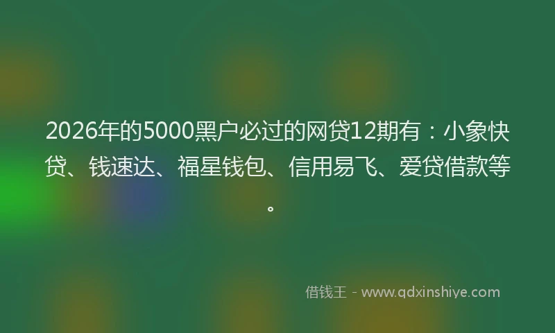 2026年的5000黑户必过的网贷12期有：小象快贷、钱速达、福星钱包、信用易飞、爱贷借款等。