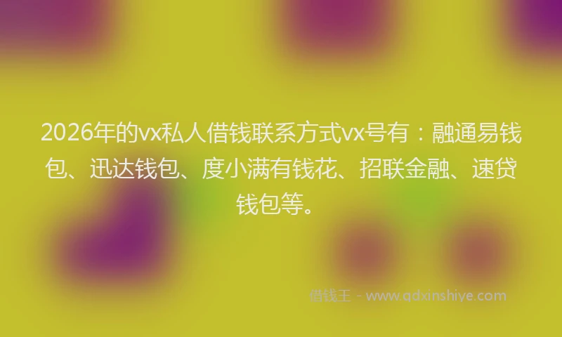 2026年的vx私人借钱联系方式vx号有：融通易钱包、迅达钱包、度小满有钱花、招联金融、速贷钱包等。