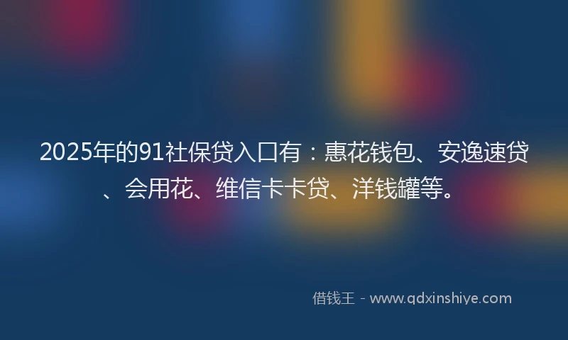 2025年的91社保贷入口有：惠花钱包、安逸速贷、会用花、维信卡卡贷、洋钱罐等。