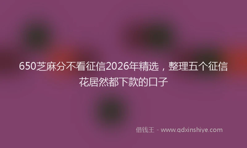 650芝麻分不看征信2026年精选，整理五个征信花居然都下款的口子