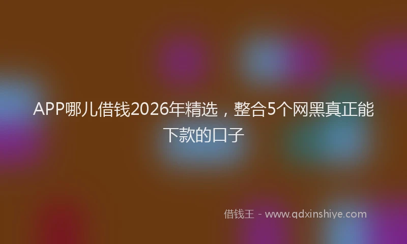 APP哪儿借钱2026年精选，整合5个网黑真正能下款的口子