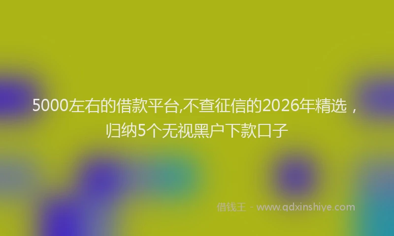5000左右的借款平台,不查征信的2026年精选，归纳5个无视黑户下款口子