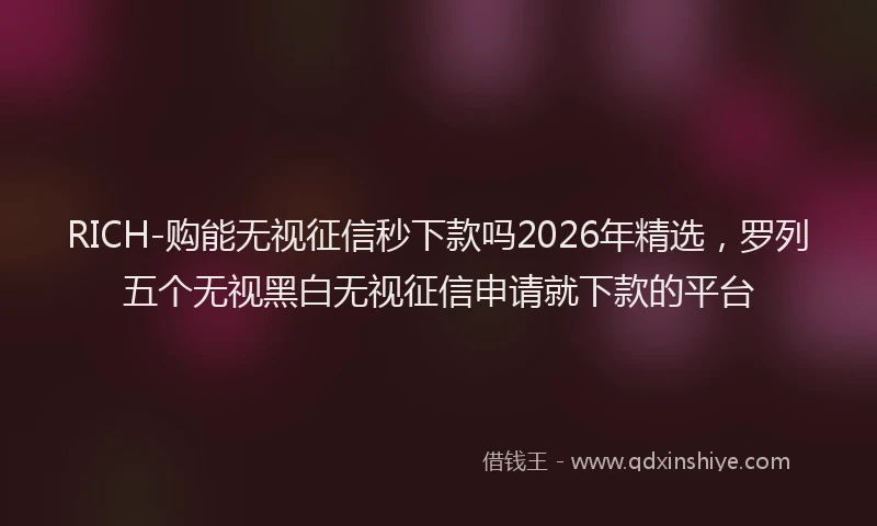 RICH-购能无视征信秒下款吗2026年精选，罗列五个无视黑白无视征信申请就下款的平台