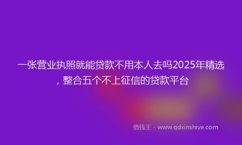 一张营业执照就能贷款不用本人去吗2025年精选，整合五个不上征信的贷款平台