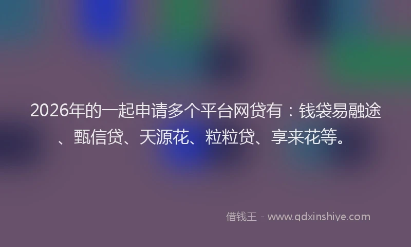 2026年的一起申请多个平台网贷有：钱袋易融途、甄信贷、天源花、粒粒贷、享来花等。