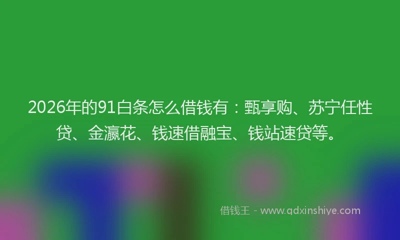 2026年的91白条怎么借钱有：甄享购、苏宁任性贷、金瀛花、钱速借融宝、钱站速贷等。