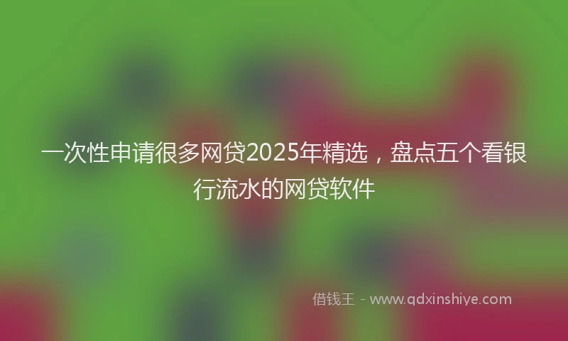一次性申请很多网贷2025年精选，盘点五个看银行流水的网贷软件
