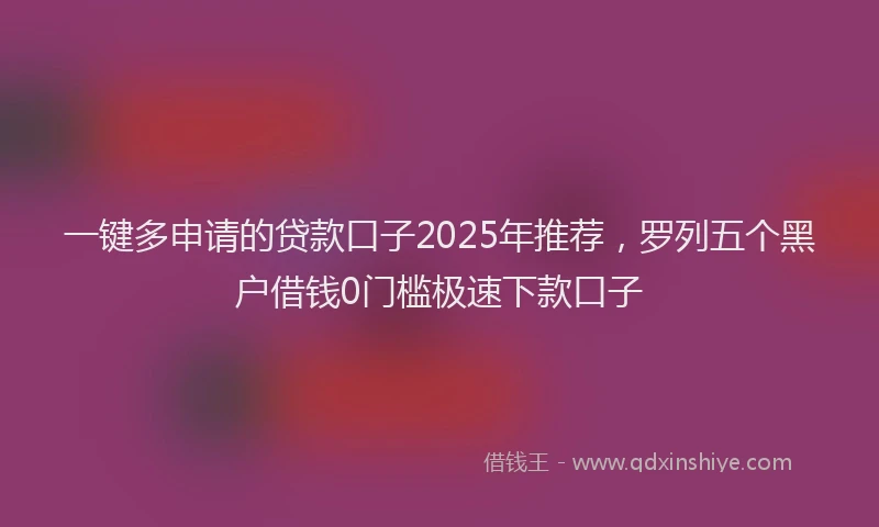 一键多申请的贷款口子2025年推荐，罗列五个黑户借钱0门槛极速下款口子