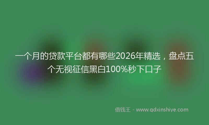 一个月的贷款平台都有哪些2026年精选,盘点五个无视征信黑白100%秒下口子