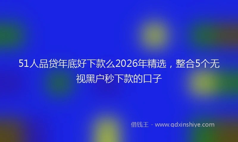 51人品贷年底好下款么2026年精选，整合5个无视黑户秒下款的口子