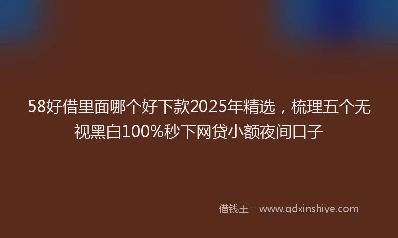 58好借里面哪个好下款2025年精选，梳理五个无视黑白100%秒下网贷小额夜间口子