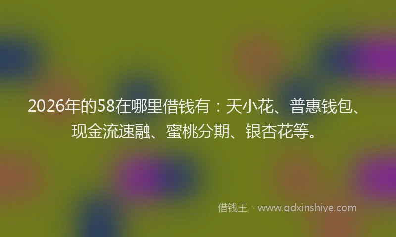 2026年的58在哪里借钱有：天小花、普惠钱包、现金流速融、蜜桃分期、银杏花等。