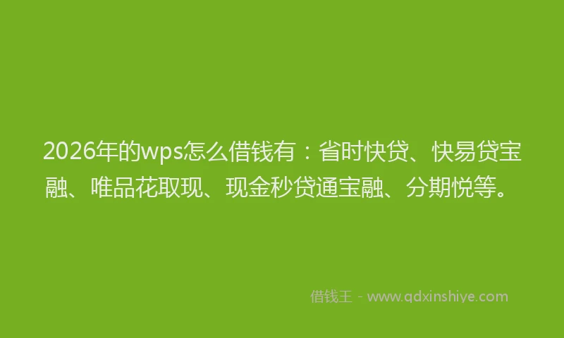 2026年的wps怎么借钱有：省时快贷、快易贷宝融、唯品花取现、现金秒贷通宝融、分期悦等。
