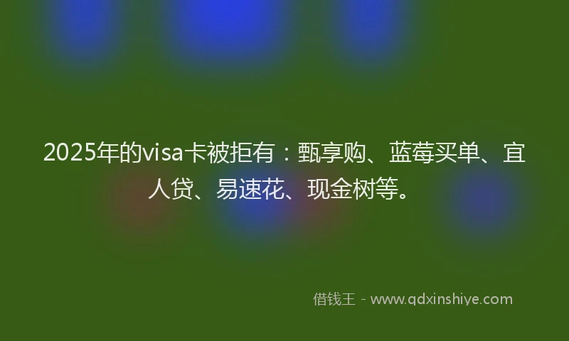 2025年的visa卡被拒有：甄享购、蓝莓买单、宜人贷、易速花、现金树等。